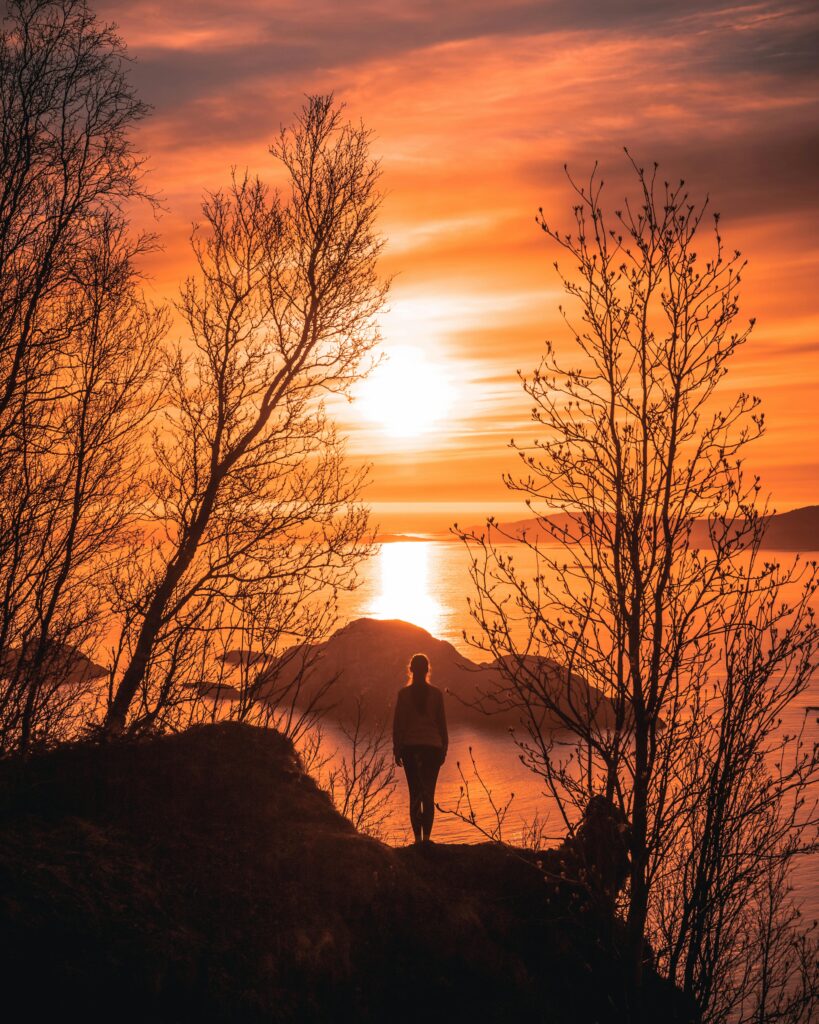 A person standing on a cliff in contemplation, silhouetted against a vibrant sunset. The sky is filled with warm hues of orange and red, reflecting off the calm water below. Bare trees frame the scene on either side, adding a sense of serenity and solitude as the person gazes out towards the horizon, where the sun is setting behind distant mountains.